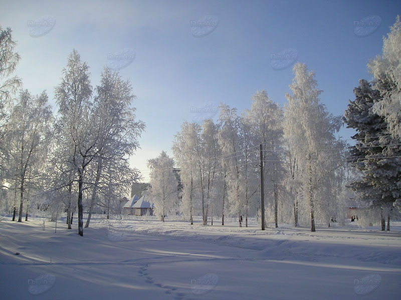 Снежная гладь и оттенки зимы - ФОТОСЕССИЯ
