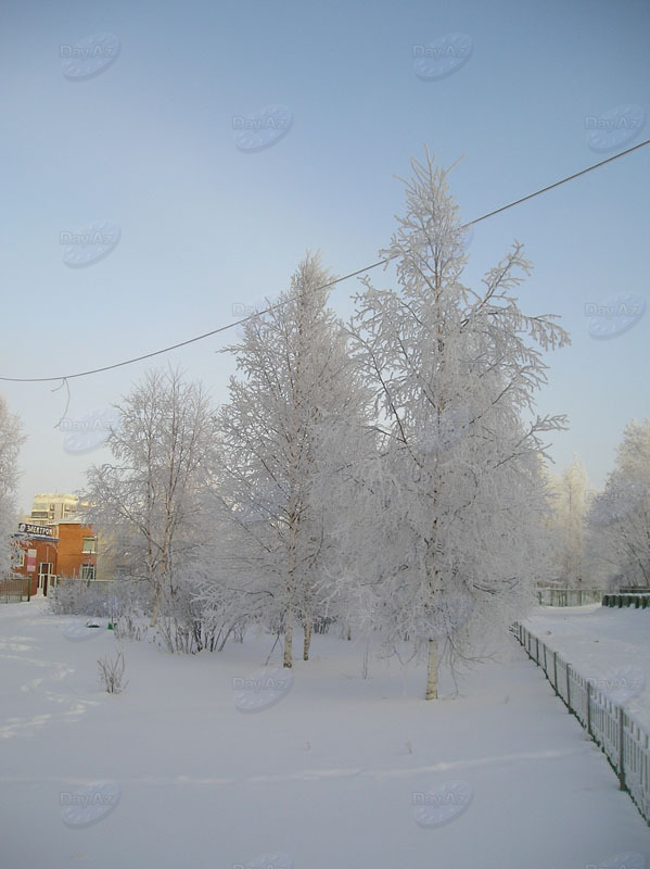 Снежная гладь и оттенки зимы - ФОТОСЕССИЯ