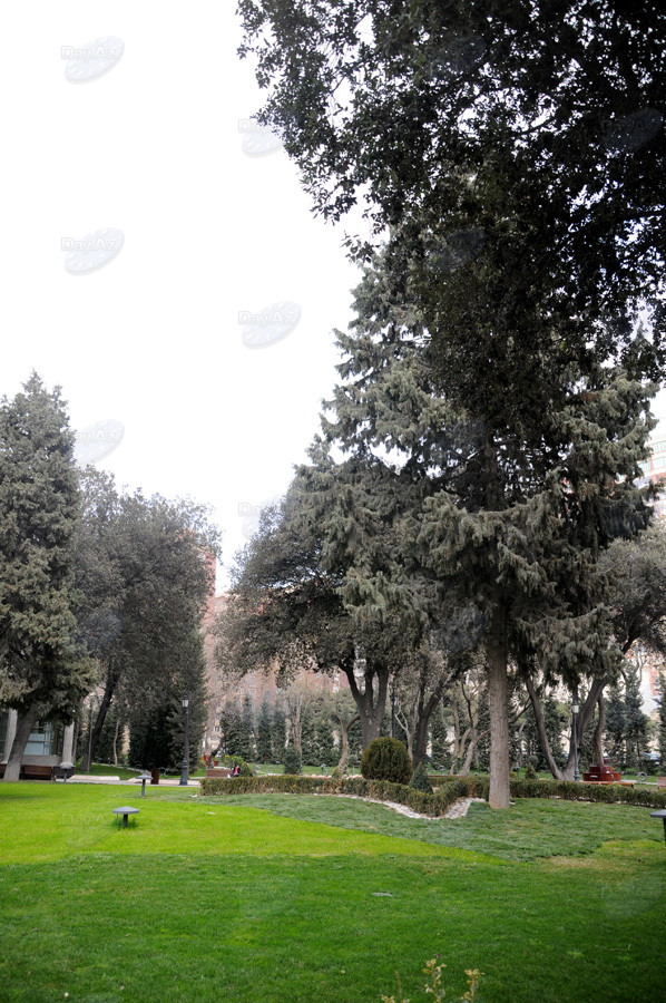 Второе дыхание: новый облик бакинского Парка офицеров – ФОТОСЕССИЯ