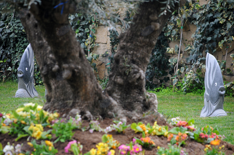 Второе дыхание: новый облик бакинского Парка офицеров – ФОТОСЕССИЯ