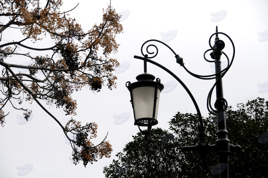 Второе дыхание: новый облик бакинского Парка офицеров – ФОТОСЕССИЯ