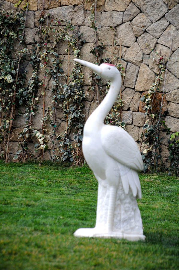 Второе дыхание: новый облик бакинского Парка офицеров – ФОТОСЕССИЯ