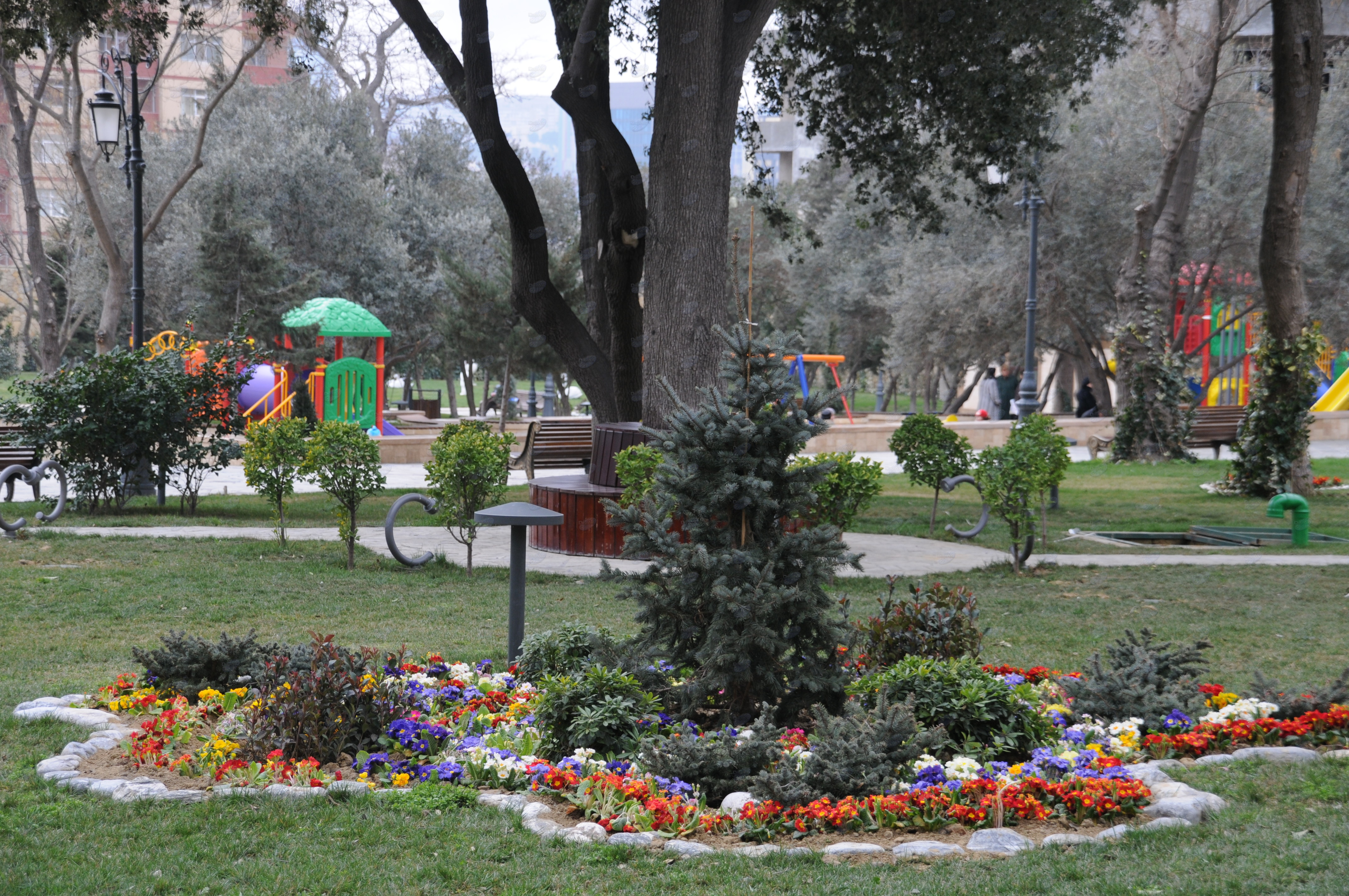 Второе дыхание: новый облик бакинского Парка офицеров – ФОТОСЕССИЯ