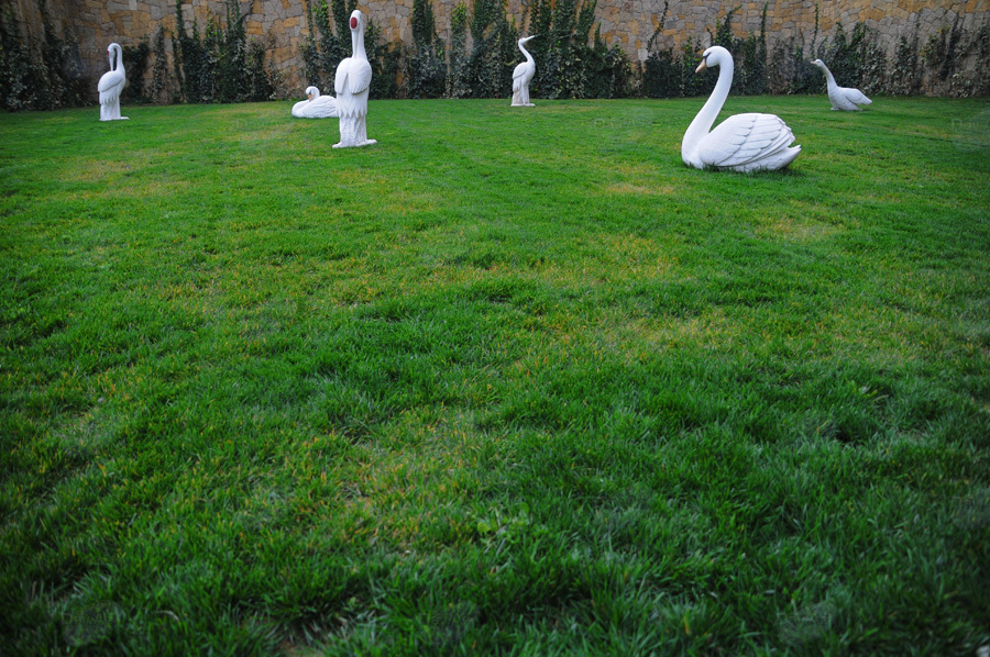 Второе дыхание: новый облик бакинского Парка офицеров – ФОТОСЕССИЯ