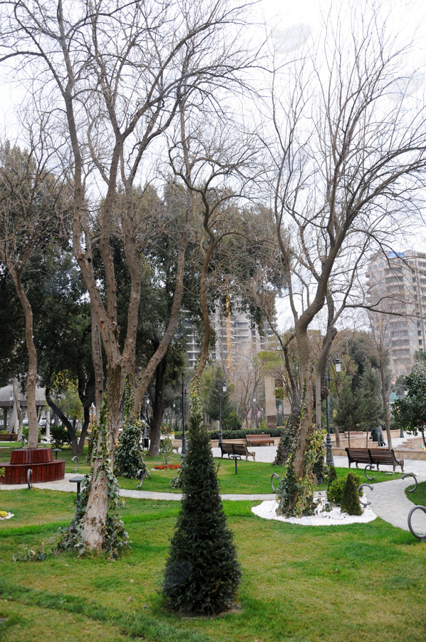 Второе дыхание: новый облик бакинского Парка офицеров – ФОТОСЕССИЯ