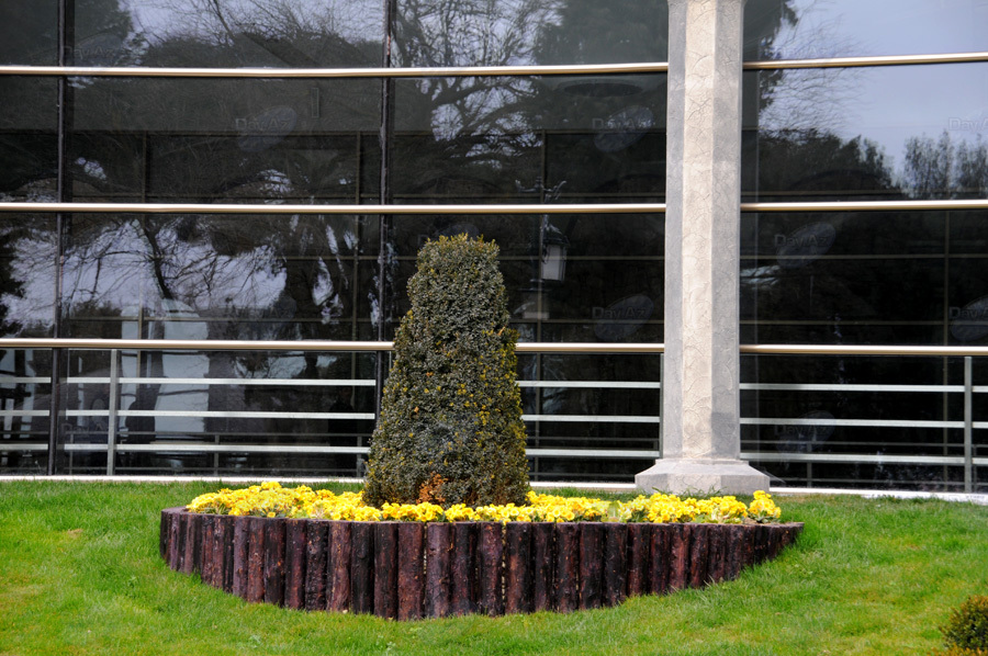 Второе дыхание: новый облик бакинского Парка офицеров – ФОТОСЕССИЯ