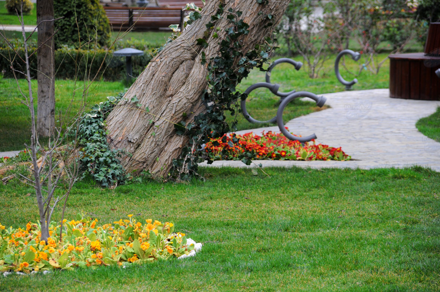 Второе дыхание: новый облик бакинского Парка офицеров – ФОТОСЕССИЯ