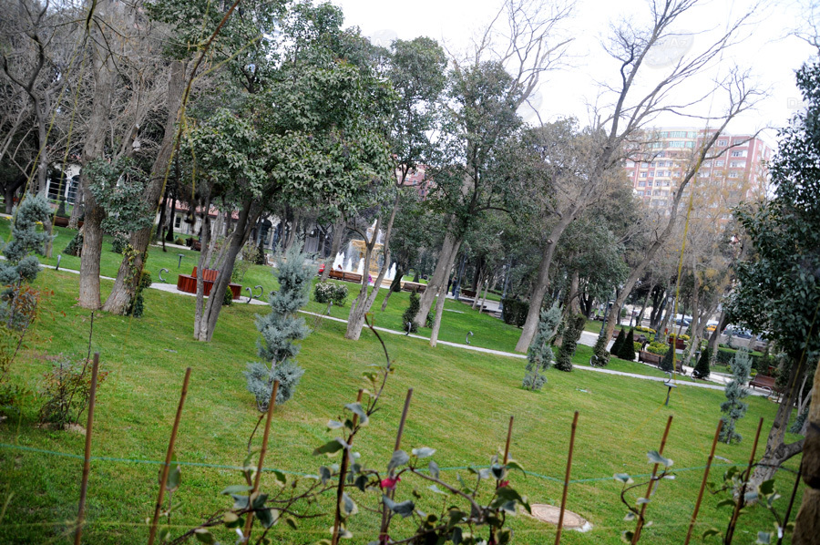 Второе дыхание: новый облик бакинского Парка офицеров – ФОТОСЕССИЯ