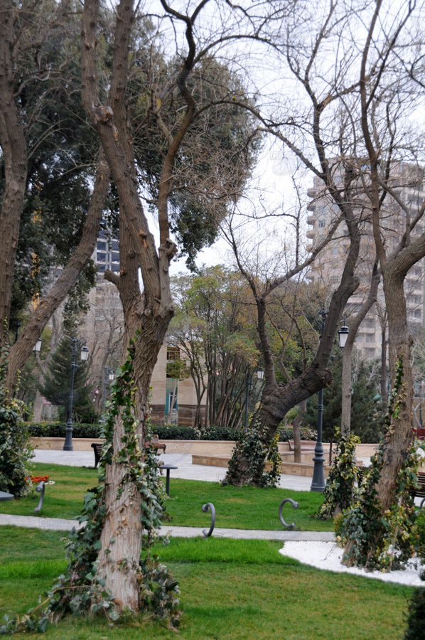 Второе дыхание: новый облик бакинского Парка офицеров – ФОТОСЕССИЯ