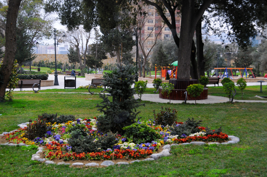 Второе дыхание: новый облик бакинского Парка офицеров – ФОТОСЕССИЯ