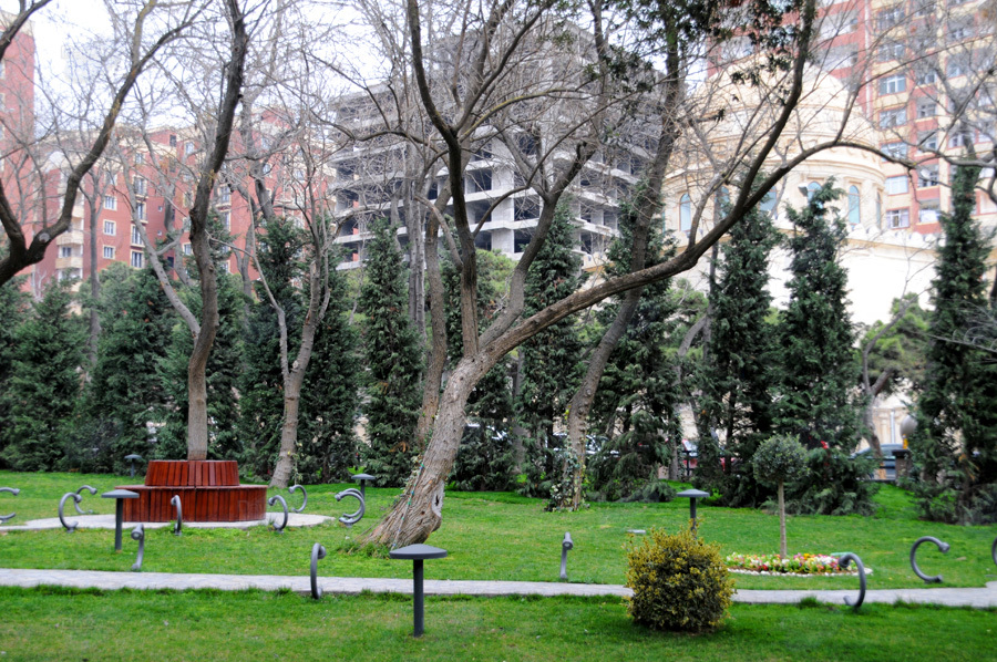 Второе дыхание: новый облик бакинского Парка офицеров – ФОТОСЕССИЯ