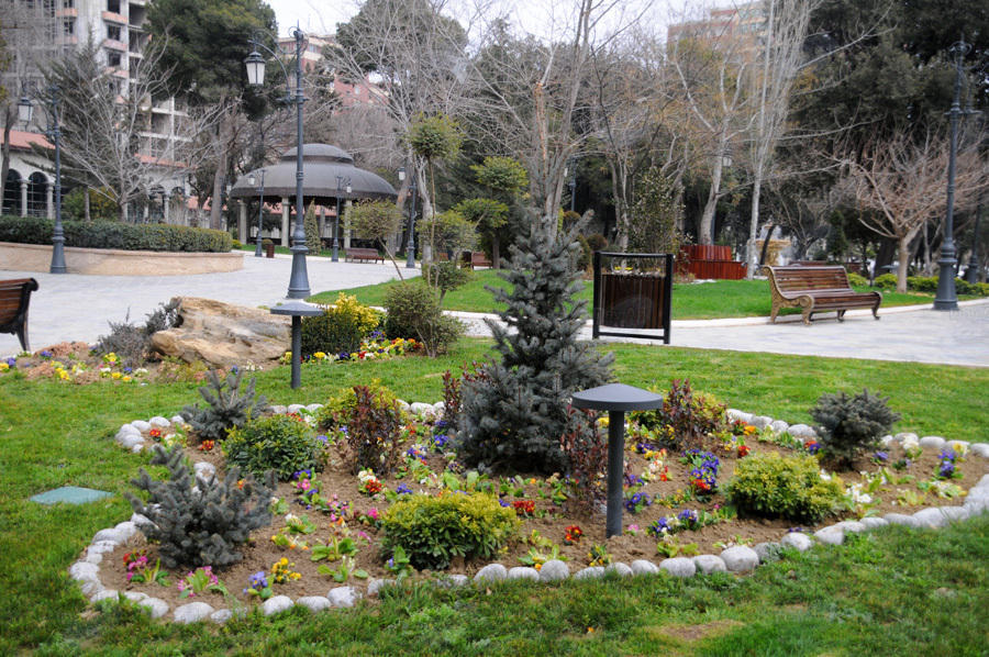 Второе дыхание: новый облик бакинского Парка офицеров – ФОТОСЕССИЯ