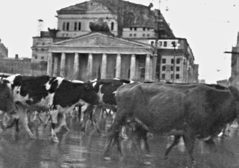 Путь от ужаса до победы: черно-белый 1941 год - ФОТОСЕССИЯ