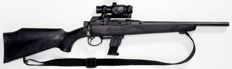 Карабин Armalon PC – для развлекательной стрельбы - ФОТО