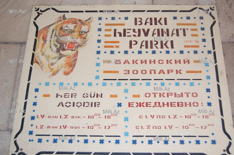 В Бакинском зоопарке появятся новые питомцы - ФОТОСЕССИЯ - ОПРОС