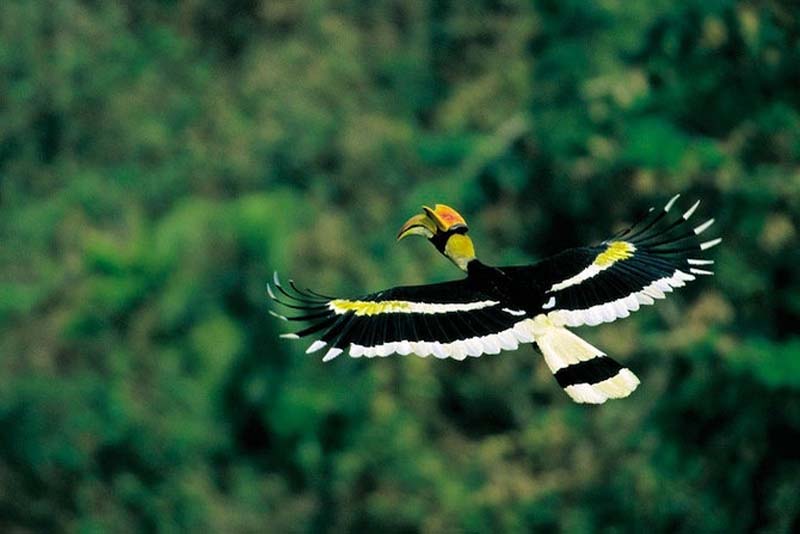 Яркие краски тропического рая - ФОТОСЕССИЯ