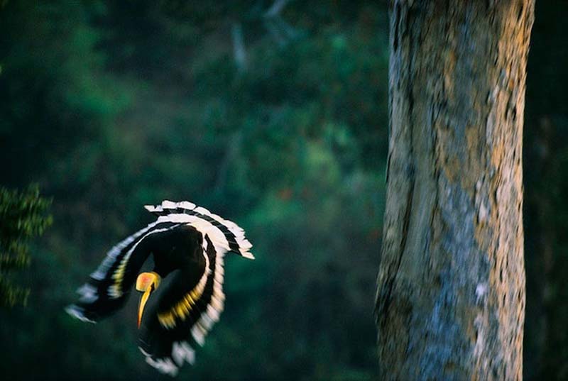 Яркие краски тропического рая - ФОТОСЕССИЯ