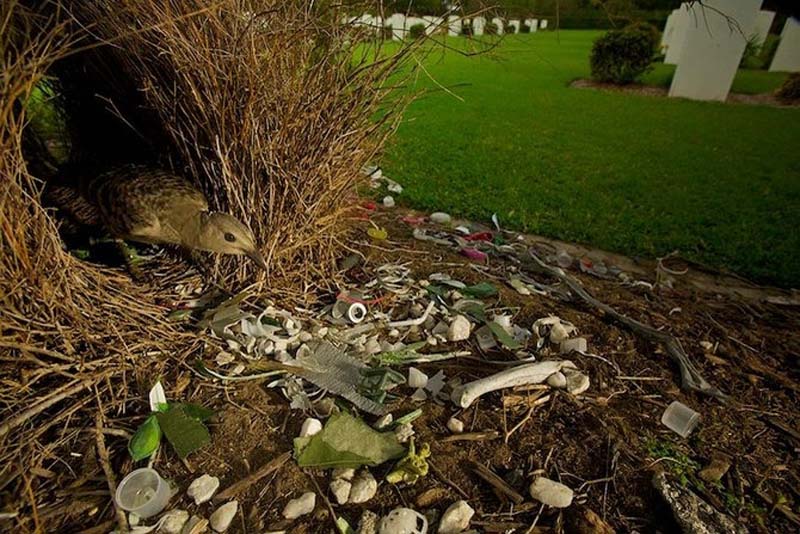 Яркие краски тропического рая - ФОТОСЕССИЯ