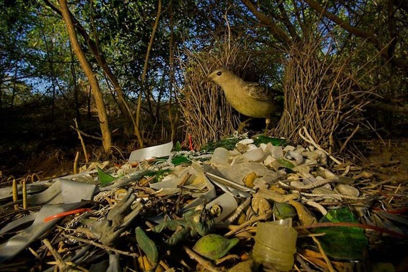 Яркие краски тропического рая - ФОТОСЕССИЯ