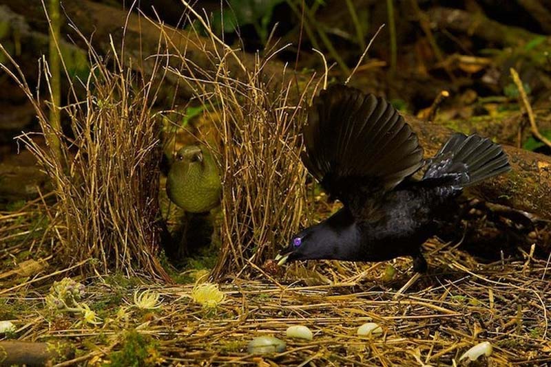 Яркие краски тропического рая - ФОТОСЕССИЯ