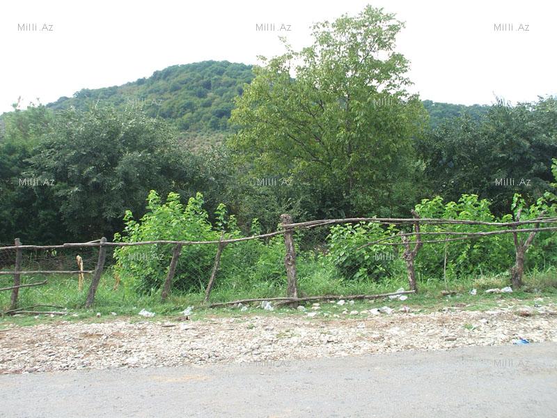 Qax rayonu: sonu görünməyən meşələr və buz bulaqlar - FOTOSESSİYA