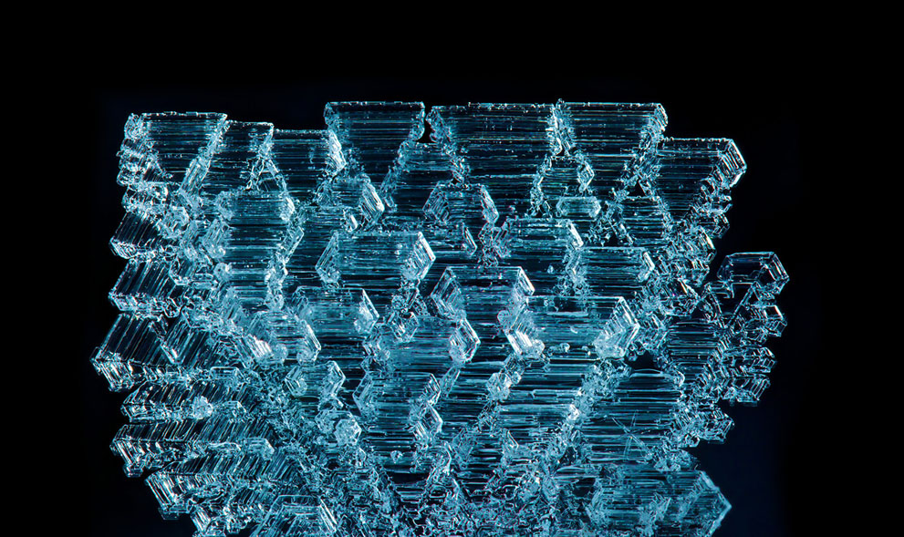 Неизведанный мир: конкурс микрофотографии Nikon Small World 2011 - ФОТОСЕССИЯ