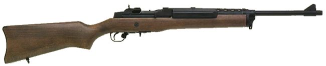 Винтовки Ruger Mini - лучшие друзья полицейского - ФОТО