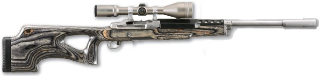 Винтовки Ruger Mini - лучшие друзья полицейского - ФОТО