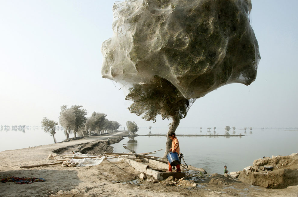 Эти люди знают, чем удивить: фотоконкурс National Geographic 2011 - ФОТОСЕССИЯ