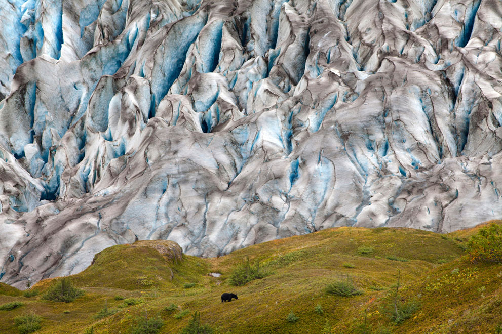 Эти люди знают, чем удивить: фотоконкурс National Geographic 2011 - ФОТОСЕССИЯ