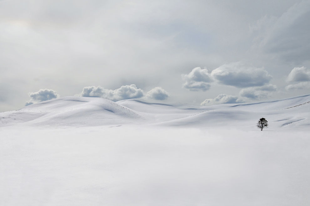 Эти люди знают, чем удивить: фотоконкурс National Geographic 2011 - ФОТОСЕССИЯ