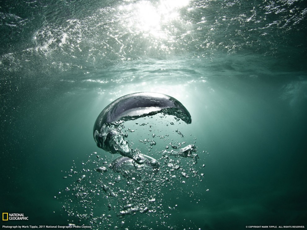 Лучшие фото National Geographic за декабрь 2011 - ФОТОСЕССИЯ