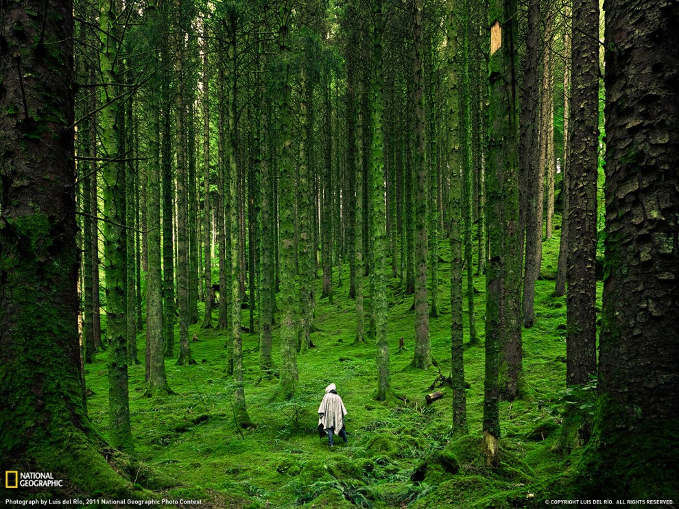 Лучшие фото National Geographic за декабрь 2011 - ФОТОСЕССИЯ