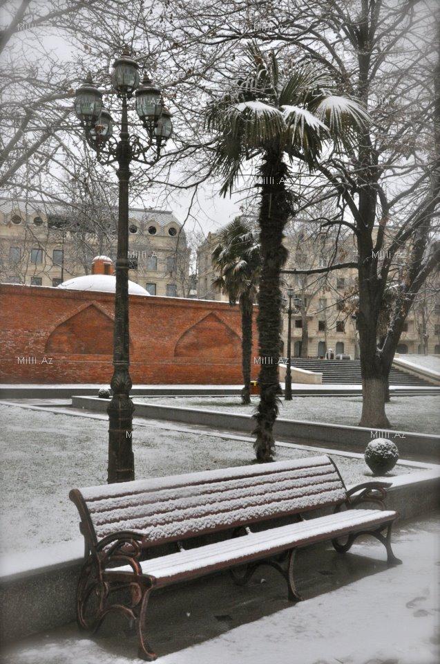 Снежные зарисовки Гянджи - ФОТО