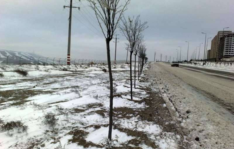 Замерзшая столица: Баку во власти снега и льда - ФОТОСЕССИЯ