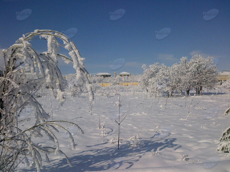 Мороз и солнце: снежная феерия Азербайджана - ФОТО