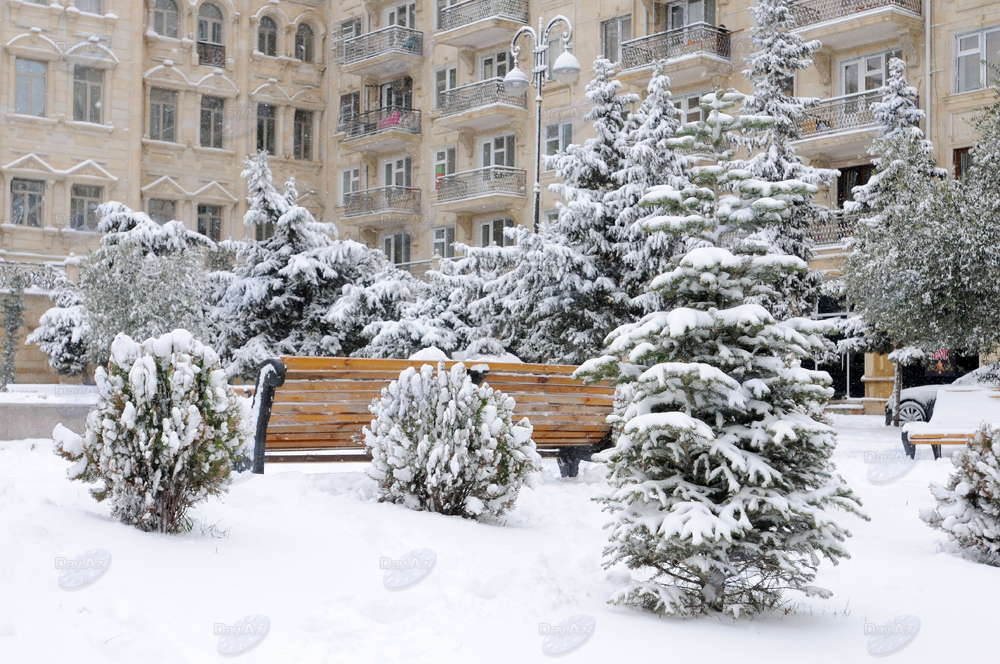 Снежные полотна январского Баку - ФОТОСЕССИЯ