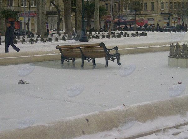 Загадочное происшествие в одном из парков Баку - ФОТО