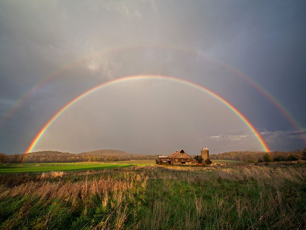 Обои для рабочего стола от National Geographic - ФОТОСЕССИЯ