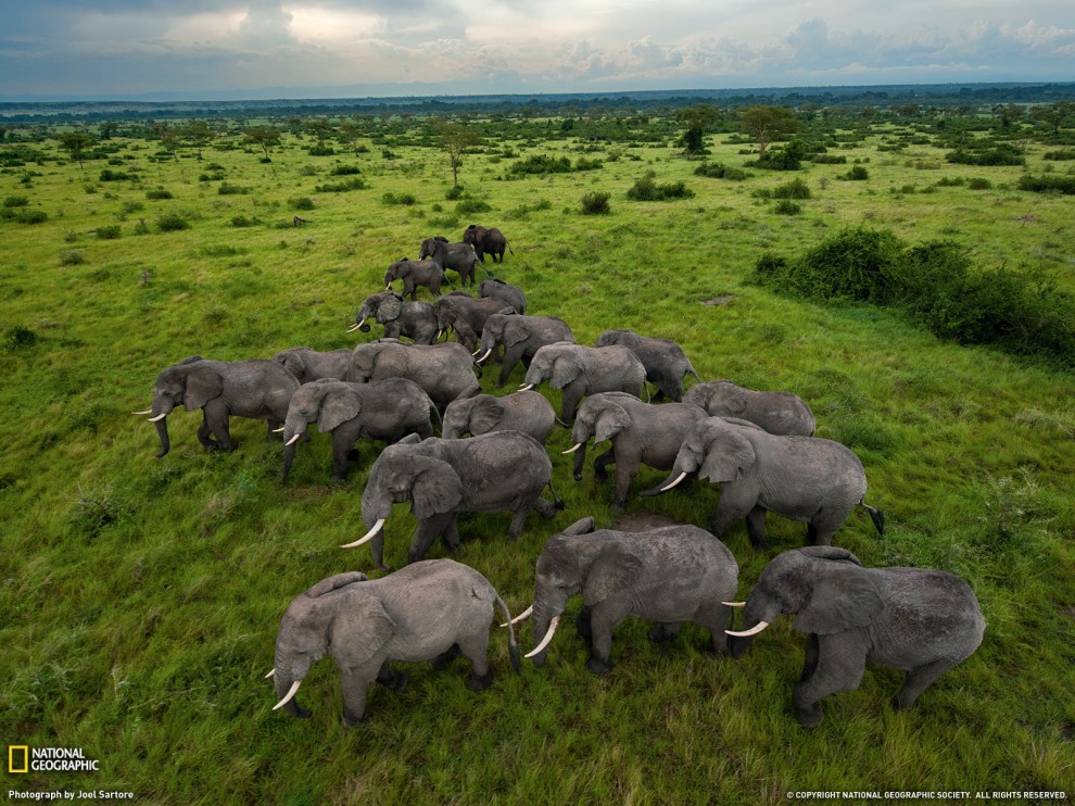 Обои для рабочего стола от National Geographic - ФОТОСЕССИЯ