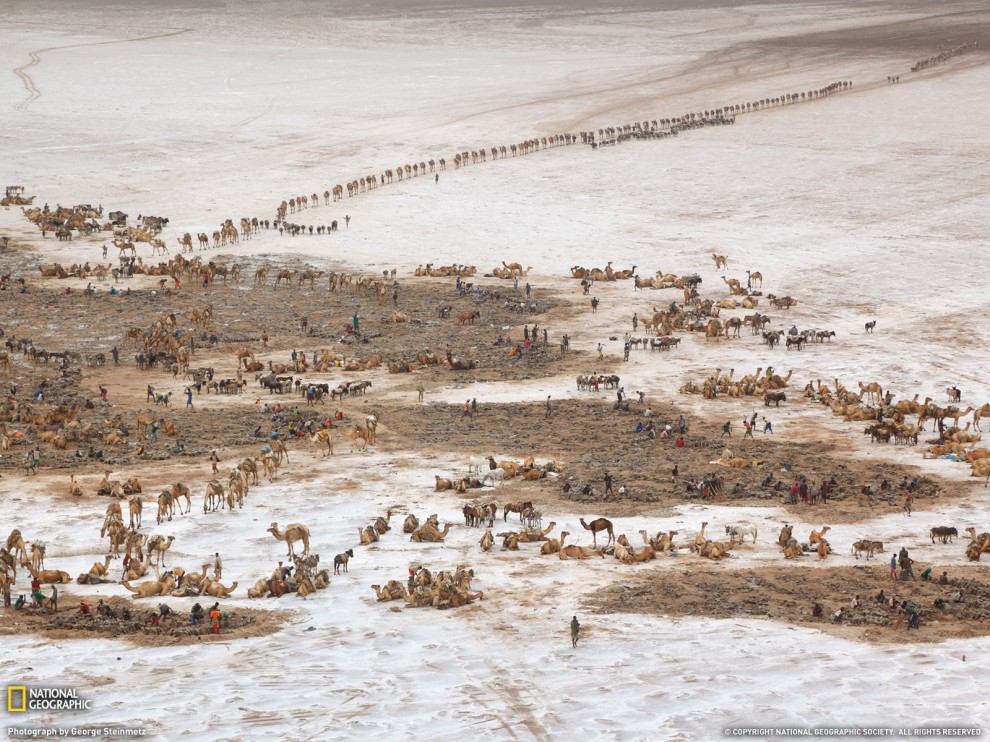 Обои для рабочего стола от National Geographic - ФОТОСЕССИЯ
