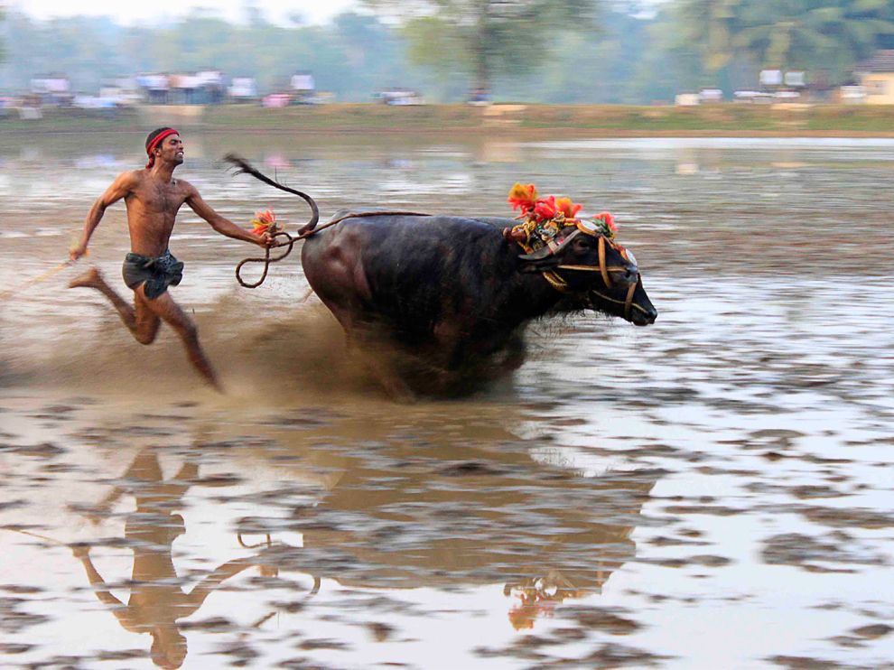 Обои для рабочего стола от National Geographic - ФОТОСЕССИЯ