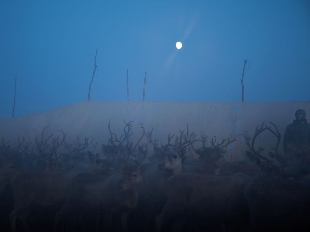 Обои для рабочего стола от National Geographic - ФОТОСЕССИЯ