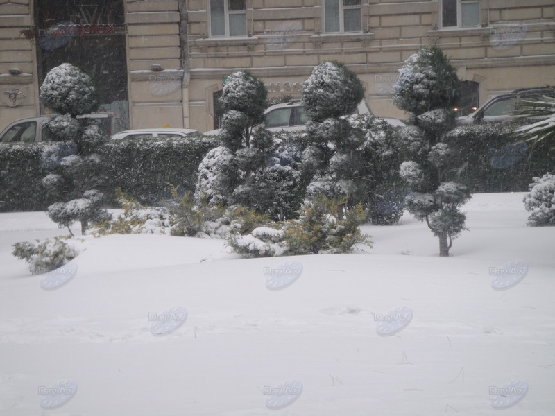 В Баку бушует метель - ОБНОВЛЕНО - ФОТО