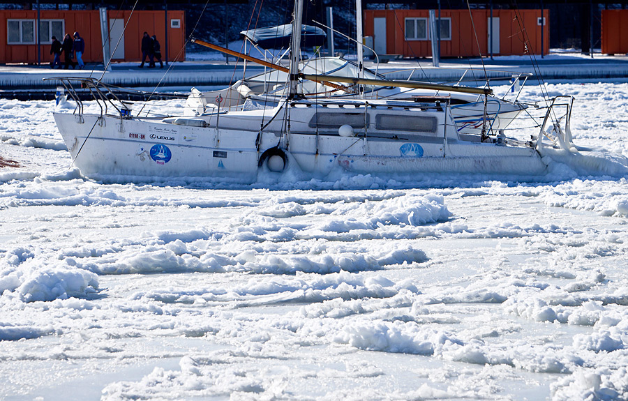 Черное море впервые за 30 лет покрылось льдом - ФОТОСЕССИЯ