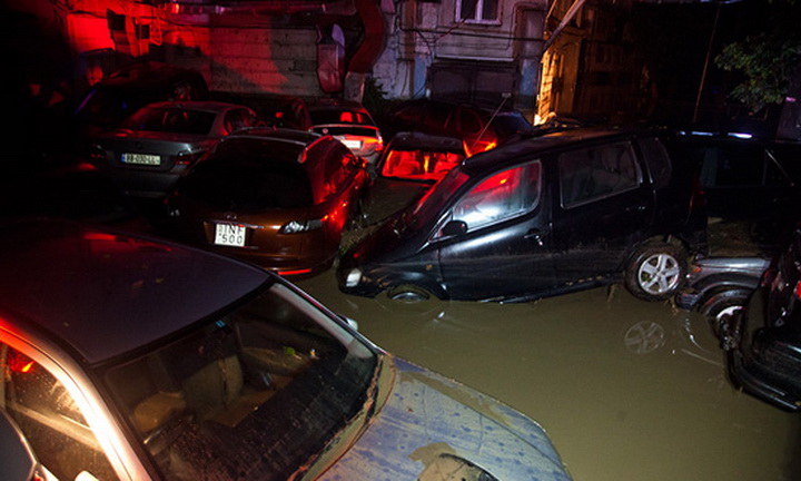 Трагедия в Тбилиси: по городу гуляют дикие звери - ОБНОВЛЕНО - ФОТО - ВИДЕО