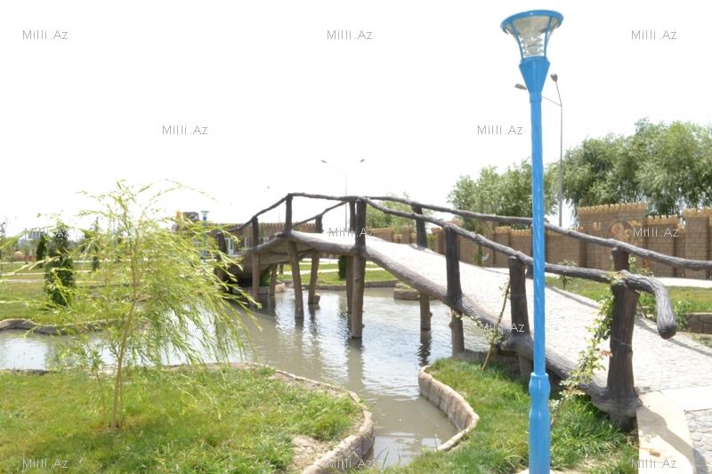 В одном из районов Азербайджана разбит удивительный парк - ФОТО