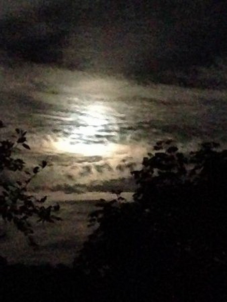 Земляне увидели самое яркое и красивое суперлуние 2014 года - ОБНОВЛЕНО - ФОТО