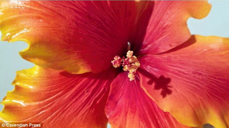 Сладкие джунгли: в Британии испекли невероятные торты - ФОТО