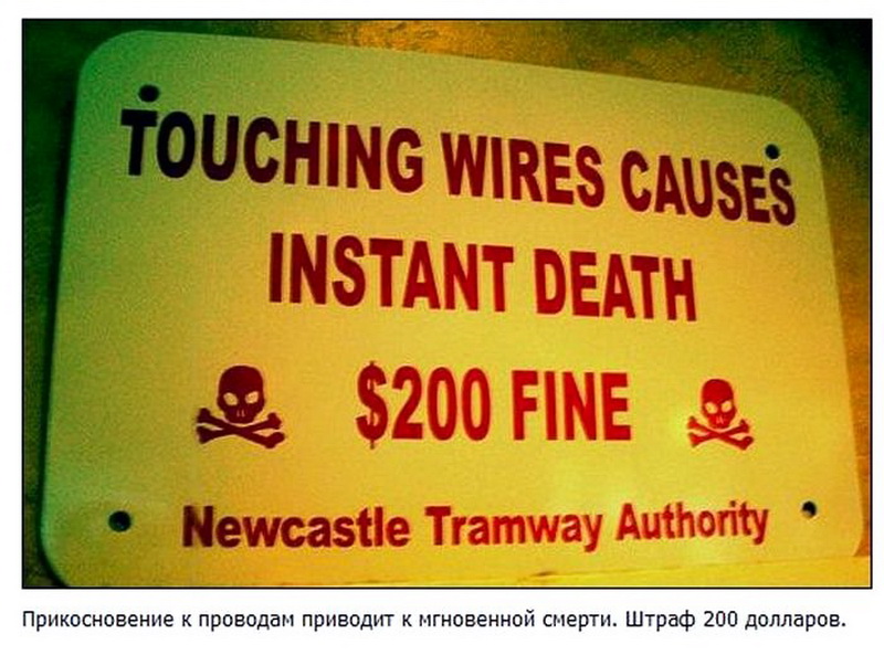 Самые забавные дорожные таблички по всему миру - ФОТО